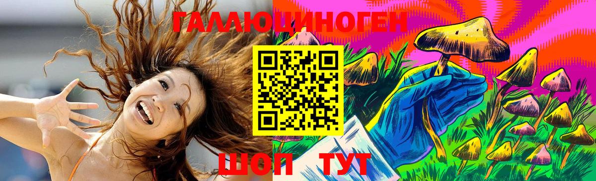 Псилоцибиновые грибы мицелий  Вход с VPN  Гусев  Псилоцибиновые грибы GOLDEN TEACHER 