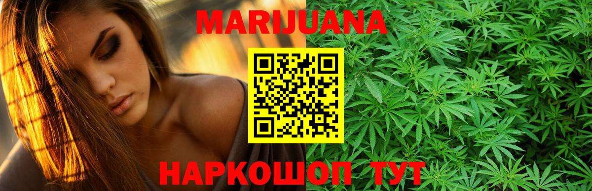 Бошки марихуана план  Вход с VPN  Шишки марихуана THC 21%  Гусев 